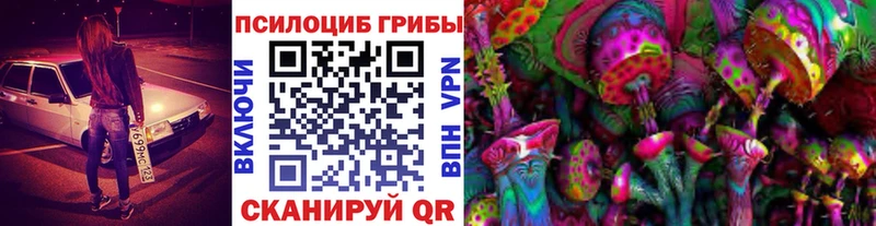 Галлюциногенные грибы GOLDEN TEACHER  купить наркоту  Нестеров 